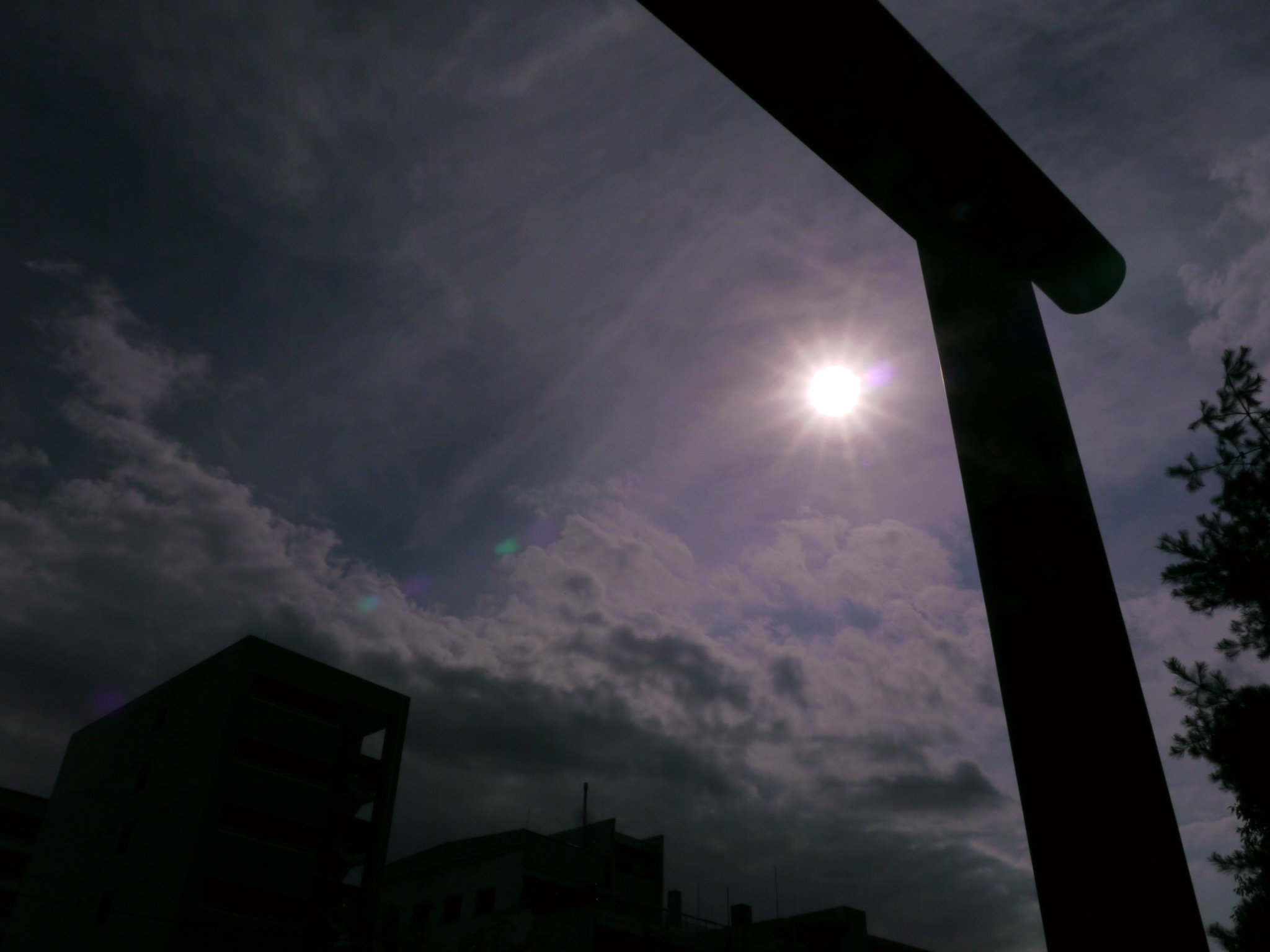 b0190242_111342.jpg