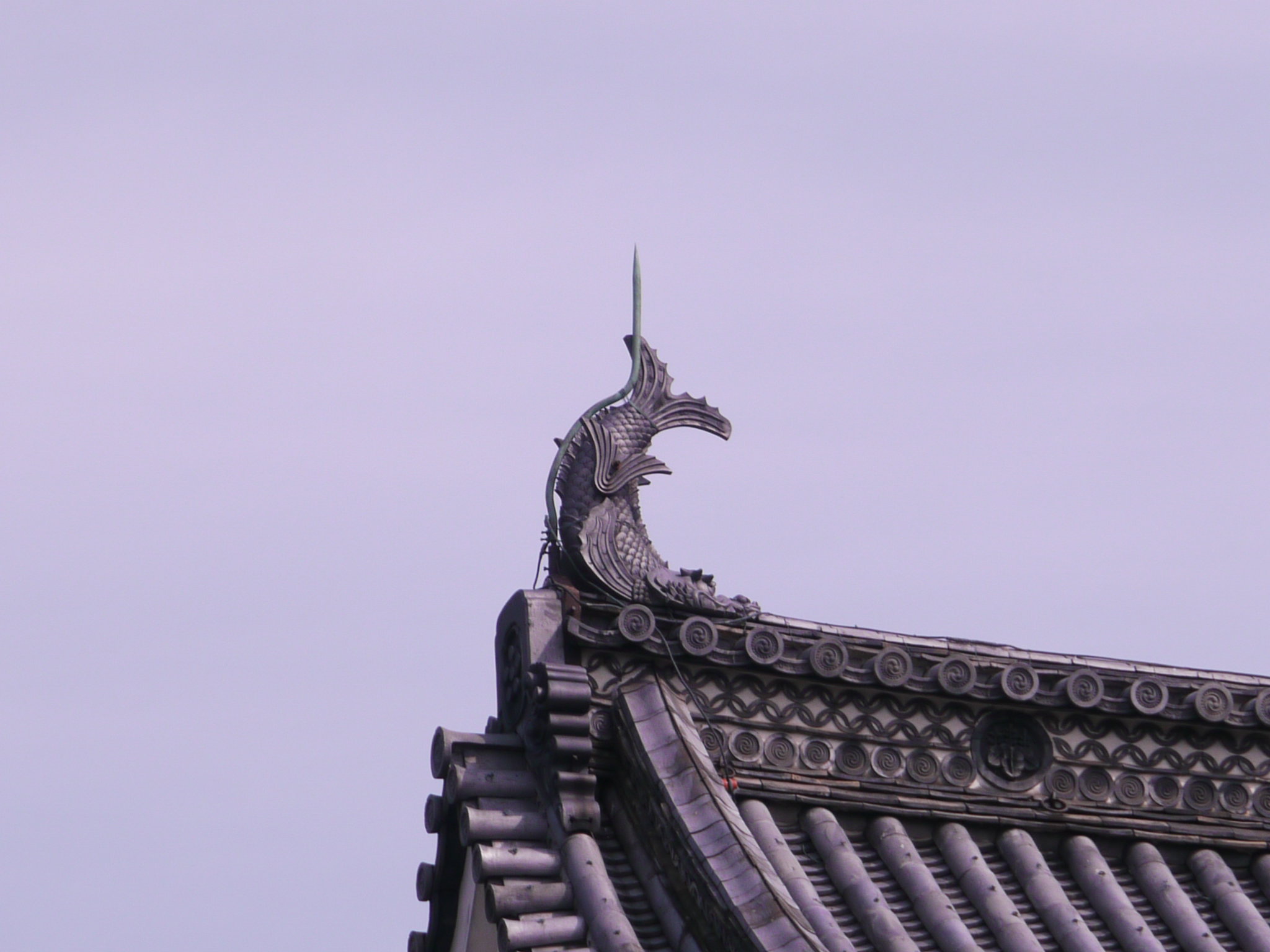 b0190242_1132034.jpg