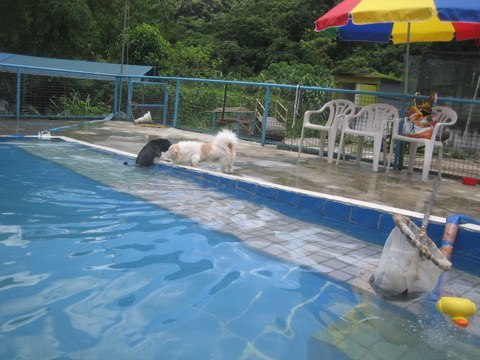e0018143_3402391.jpg