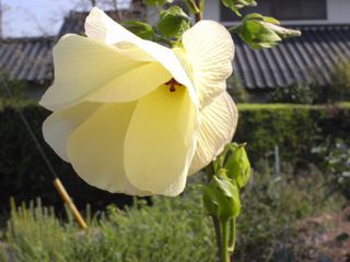 f0030644_0151750.jpg