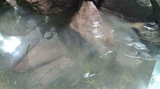 b0202747_0355612.jpg