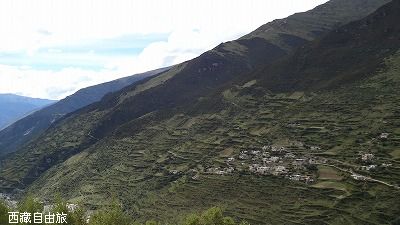 d0160647_1255562.jpg