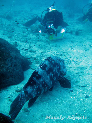 e0027447_22125164.jpg