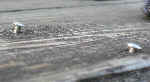 f0153547_7304023.jpg