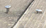 f0153547_7305514.jpg