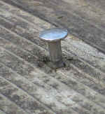 f0153547_7311452.jpg
