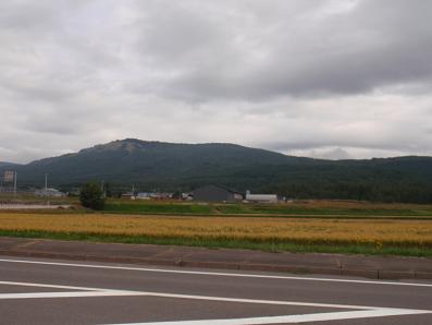 a0156548_20451351.jpg