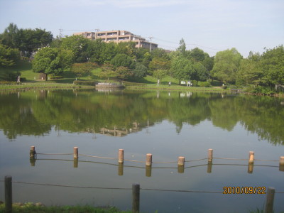 e0121548_2014556.jpg