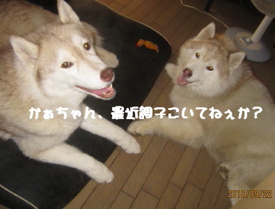 e0121548_20225482.jpg
