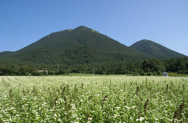 f0214649_5305992.jpg