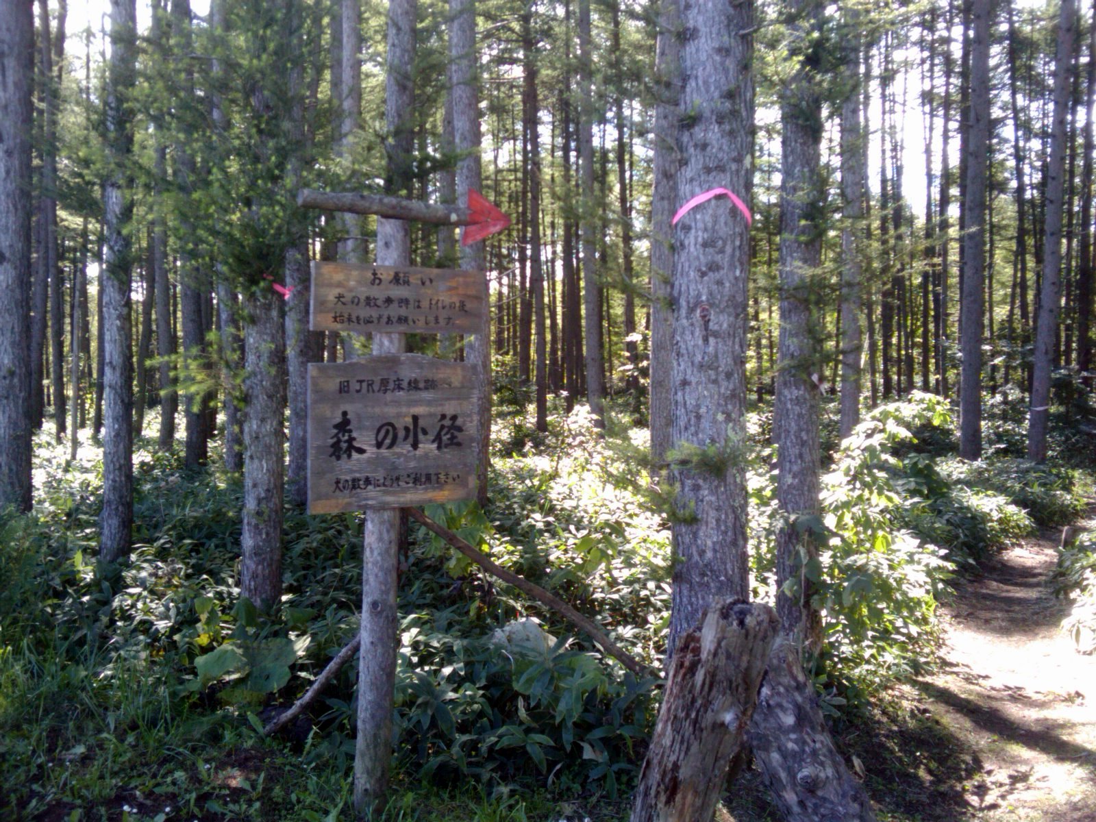 f0001254_11315483.jpg