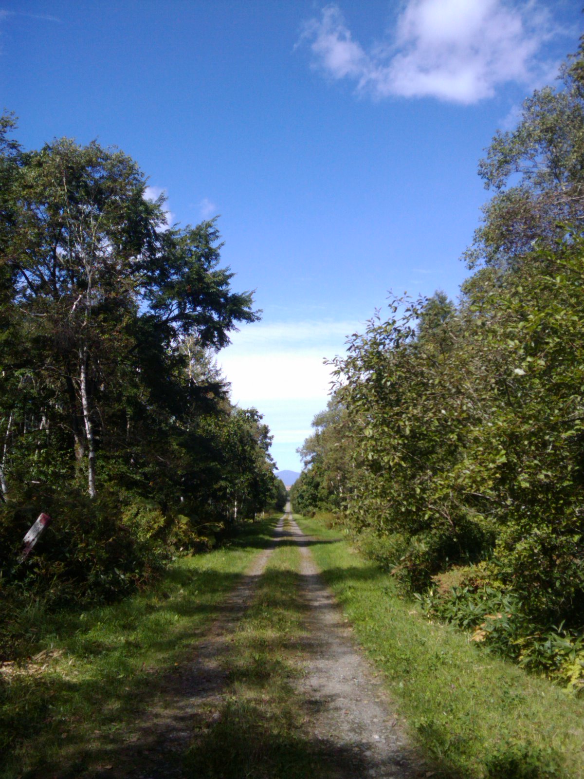 f0001254_11324662.jpg