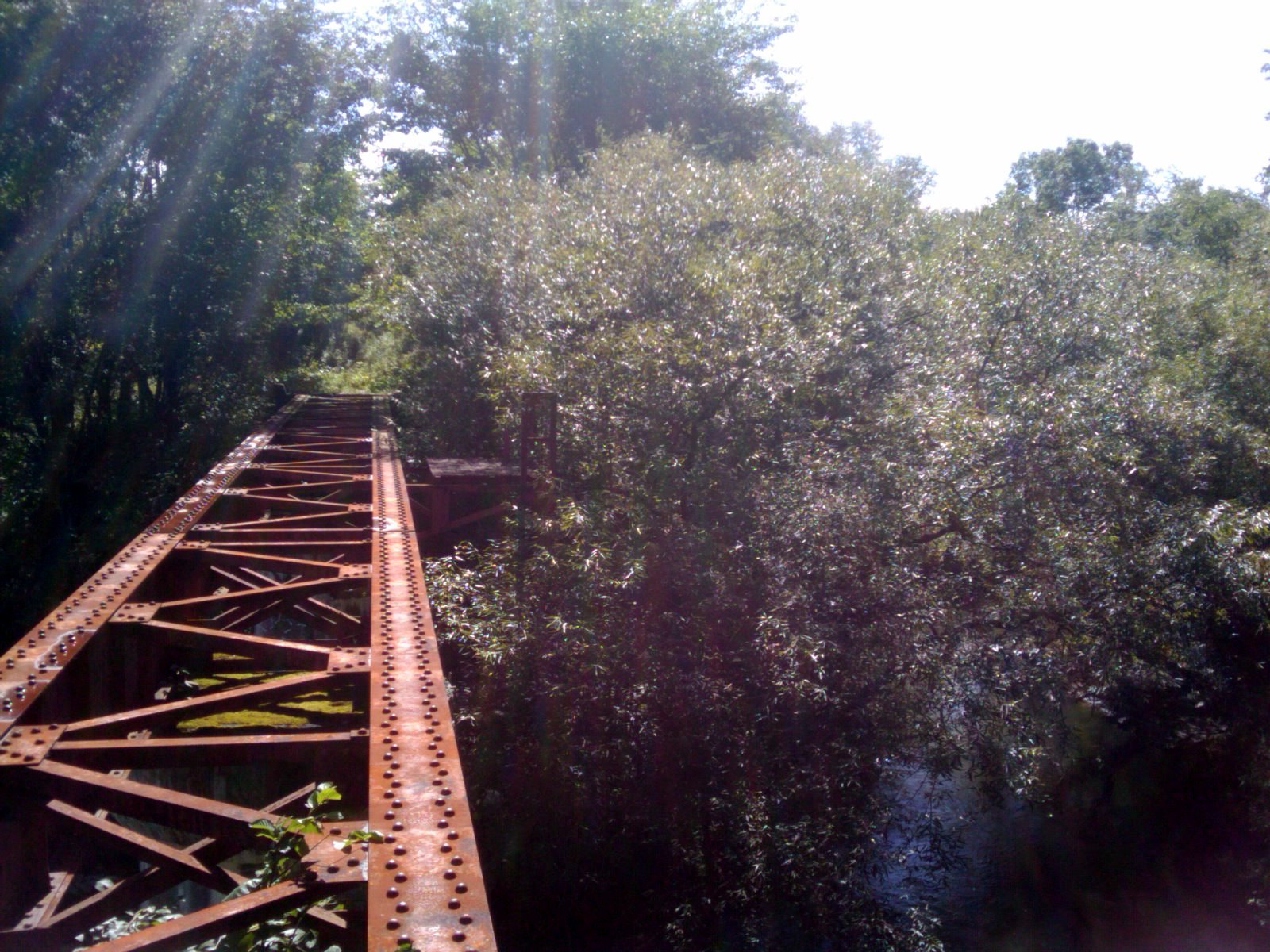 f0001254_11331313.jpg