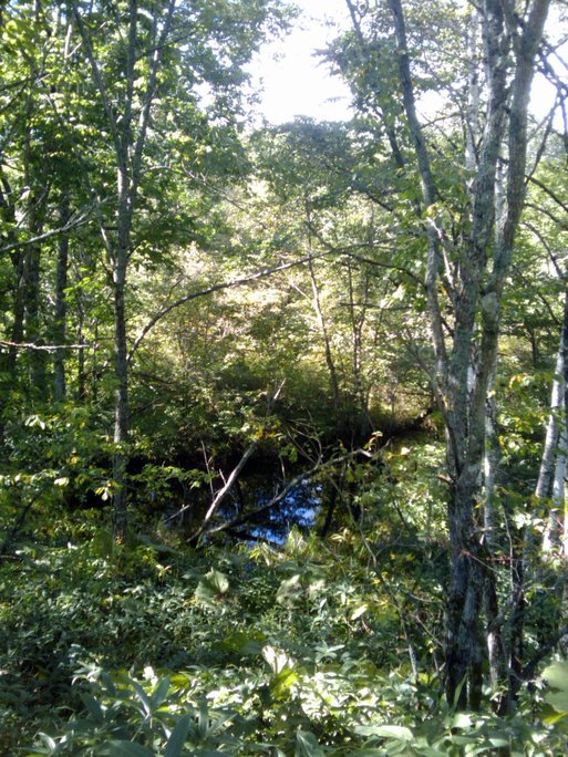 f0001254_11335094.jpg