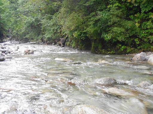 b0177355_045154.jpg
