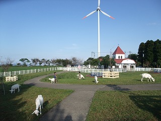 c0208355_1015869.jpg