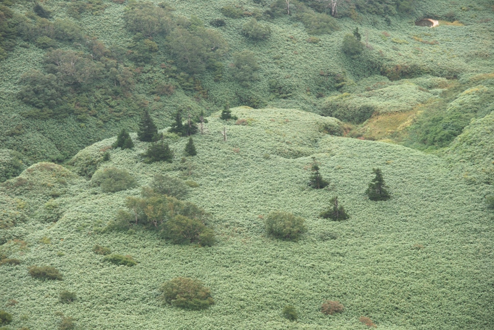 d0169556_183544.jpg