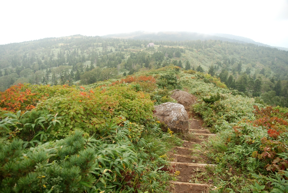d0169556_1853651.jpg