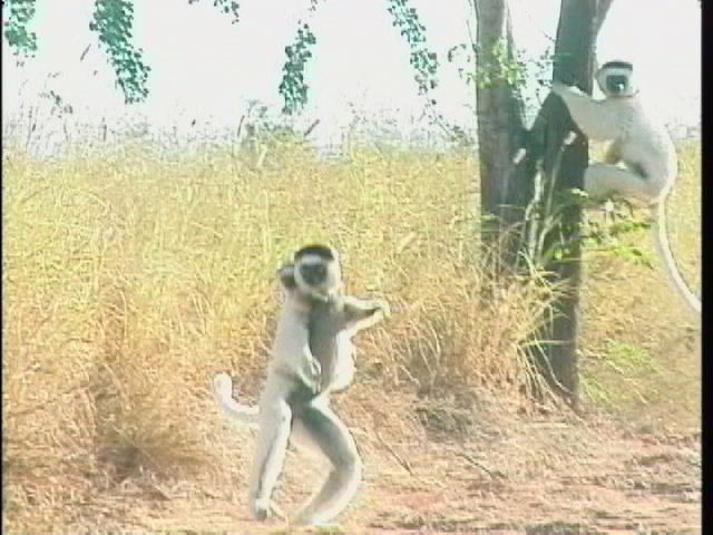 f0226161_20351137.jpg