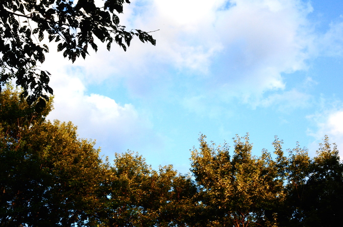d0171463_13745.jpg