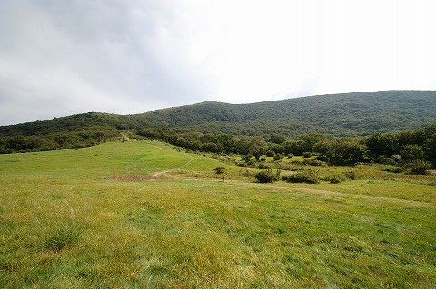 e0045768_20551254.jpg