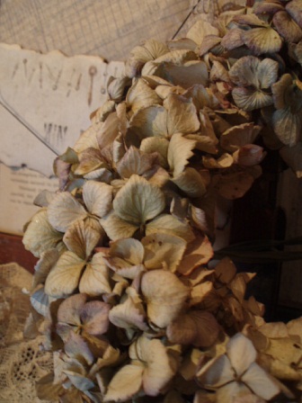 c0214272_123790.jpg