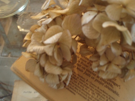 c0214272_125324.jpg