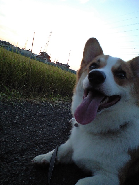 c0210375_13512334.jpg