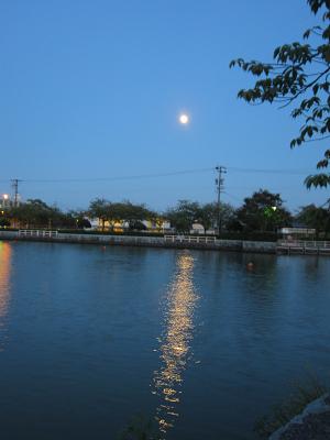 c0210375_22161990.jpg
