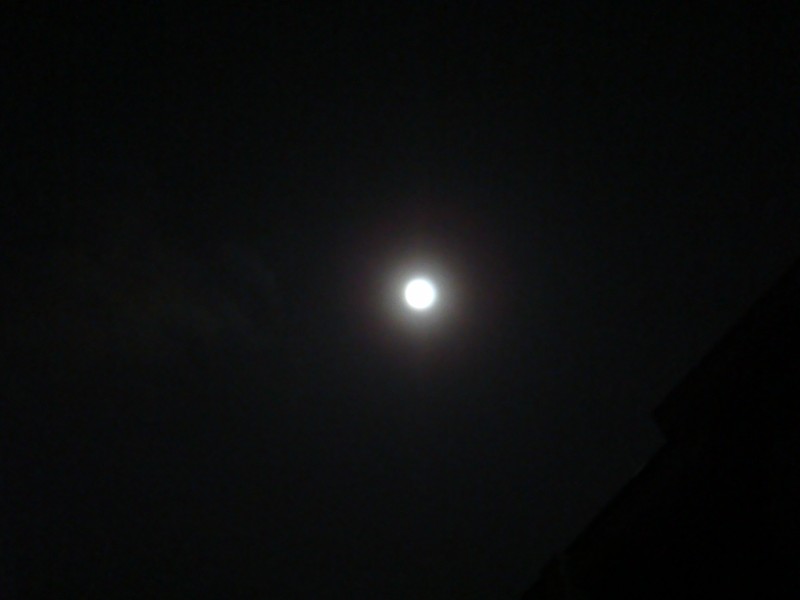 d0116376_1955567.jpg
