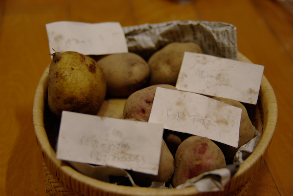 a0053783_075353.jpg