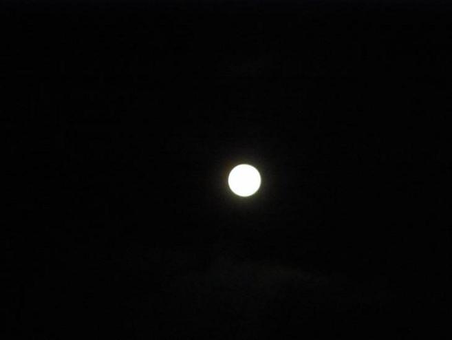 c0122788_15412151.jpg