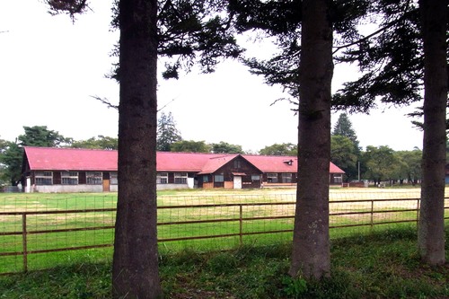 f0022292_23445199.jpg