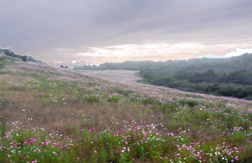 f0022292_23563287.jpg