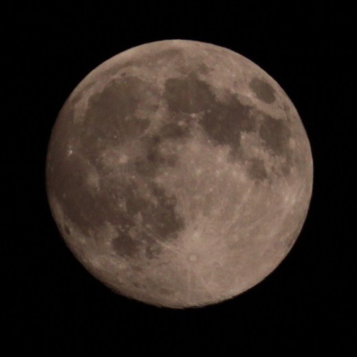 d0133693_2091791.jpg