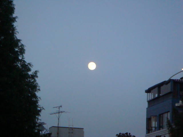 d0098295_23423118.jpg
