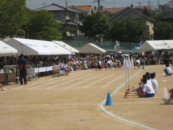 f0013998_5301390.jpg