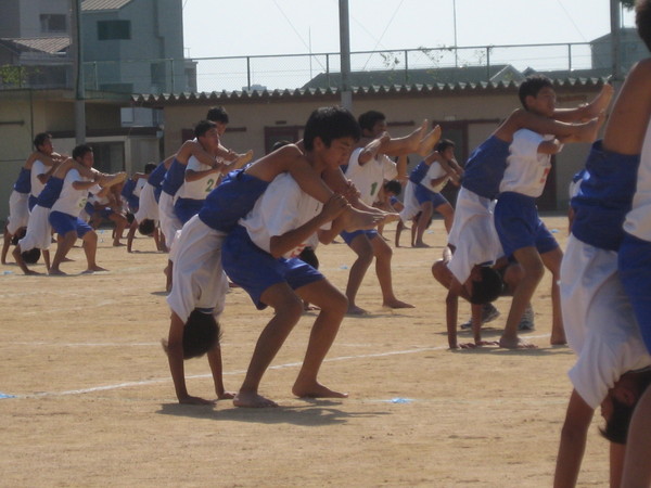 f0013998_5322998.jpg