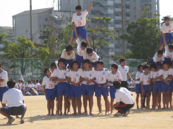 f0013998_5332115.jpg