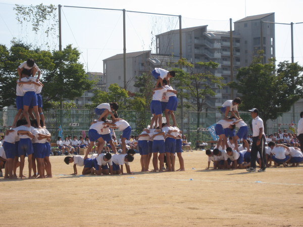 f0013998_533815.jpg