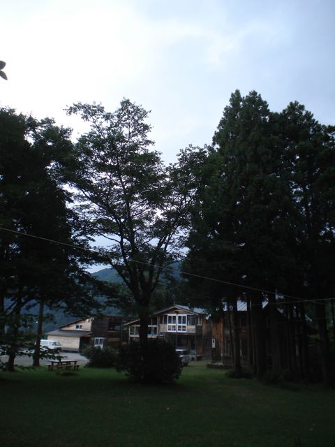 a0061599_7331762.jpg