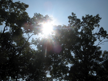 a0117599_2115225.jpg