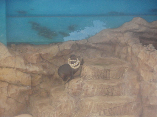 e0006700_17552285.jpg