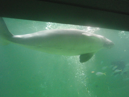 e0006700_17555674.jpg