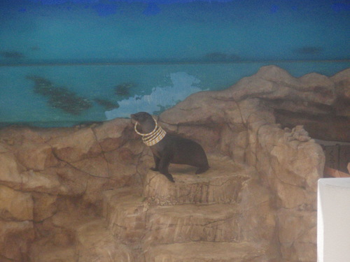 e0006700_1755869.jpg