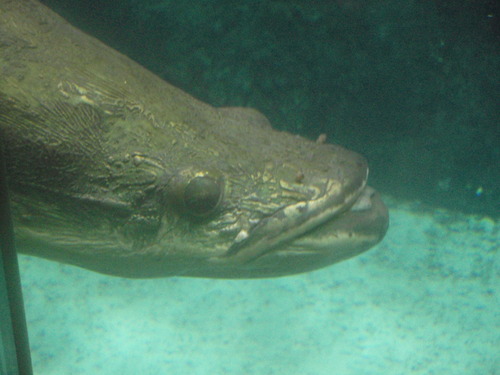 e0006700_17565562.jpg