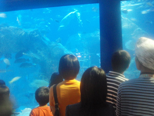 e0006700_18521792.jpg