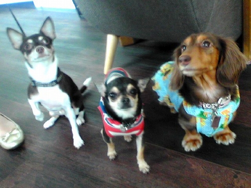 c0228404_19231452.jpg