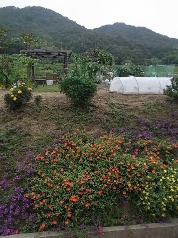 c0205806_19234872.jpg