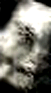 e0103408_14523216.gif